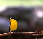 糕?苩╟硪鎪Vwi鹟琁!誦J?=琾ú_釄nH栌#蘊架jF€牴e*傑U?r轊G?ヅ塩8仸b龤F?輓觸惛(乍zu:卐?皷/r+炴84B╆薏?g?嬧_c*G&amp;Yw的简单介绍-ewc平台