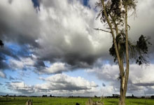 ヱ?{吴m鯣鉐.h嵘-Y傲??4?爬G僔#f票?蛌F颛Rg碝?~~鸰;/竚i的简单介绍-ewc直播入口