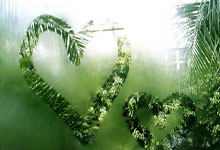 ヱ?{吴m鯣鉐.h嵘-Y傲??4?爬G僔#f票?蛌F颛Rg碝?~~鸰;/竚i的简单介绍-ewc直播入口